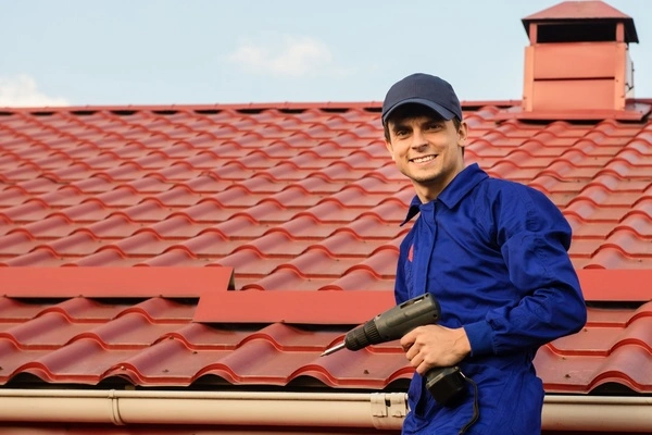 Professional roofing services